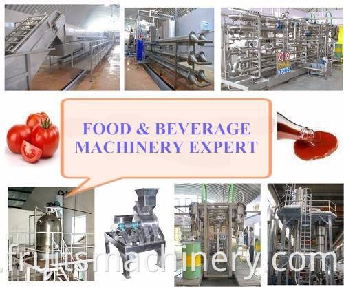 Fruit puree pasteurizer pasteurization